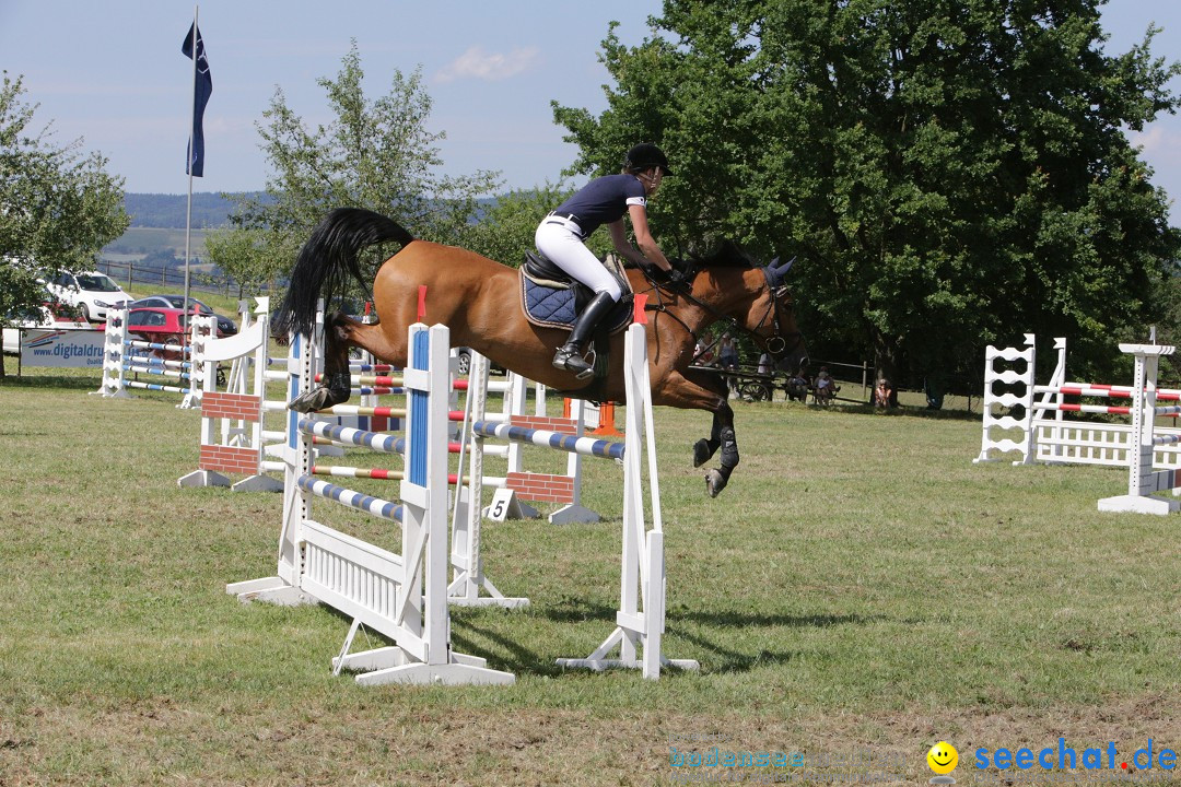 Reitturnier auf dem Ziegelhof in Dettingen-Wallhausen am Bodensee, 22.06.20