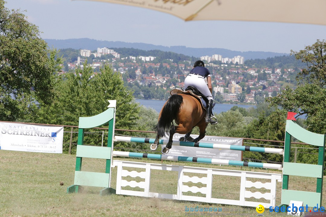 Reitturnier auf dem Ziegelhof in Dettingen-Wallhausen am Bodensee, 22.06.20