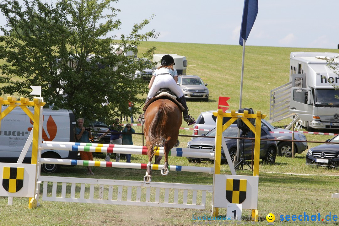 Reitturnier auf dem Ziegelhof in Dettingen-Wallhausen am Bodensee, 22.06.20