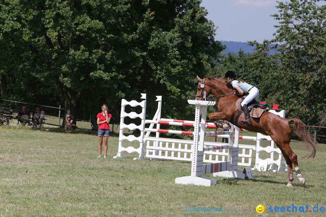 Reitturnier auf dem Ziegelhof in Dettingen-Wallhausen am Bodensee, 22.06.20