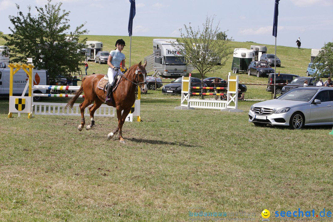 Reitturnier auf dem Ziegelhof in Dettingen-Wallhausen am Bodensee, 22.06.20