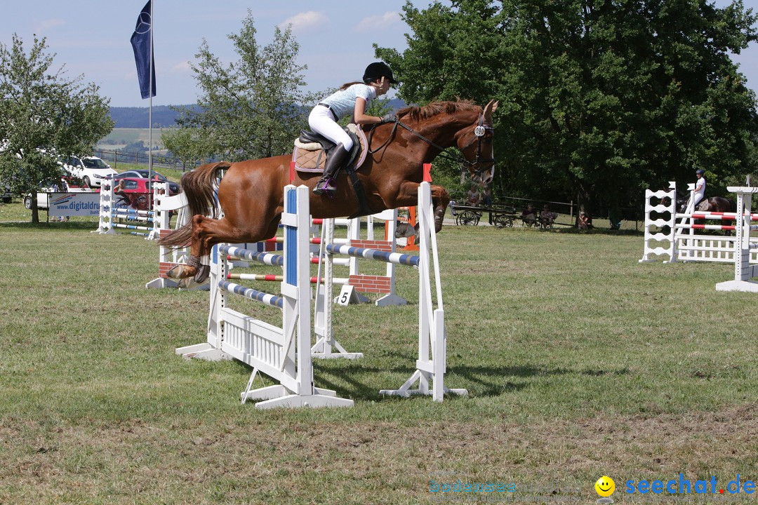 Reitturnier auf dem Ziegelhof in Dettingen-Wallhausen am Bodensee, 22.06.20