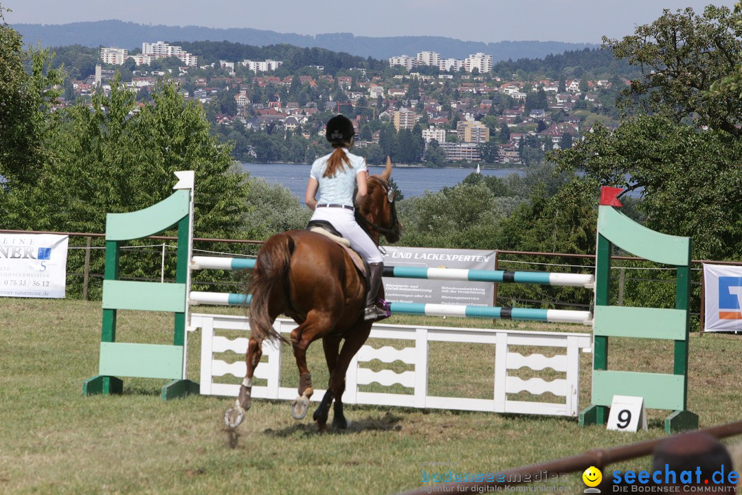 Reitturnier auf dem Ziegelhof in Dettingen-Wallhausen am Bodensee, 22.06.20