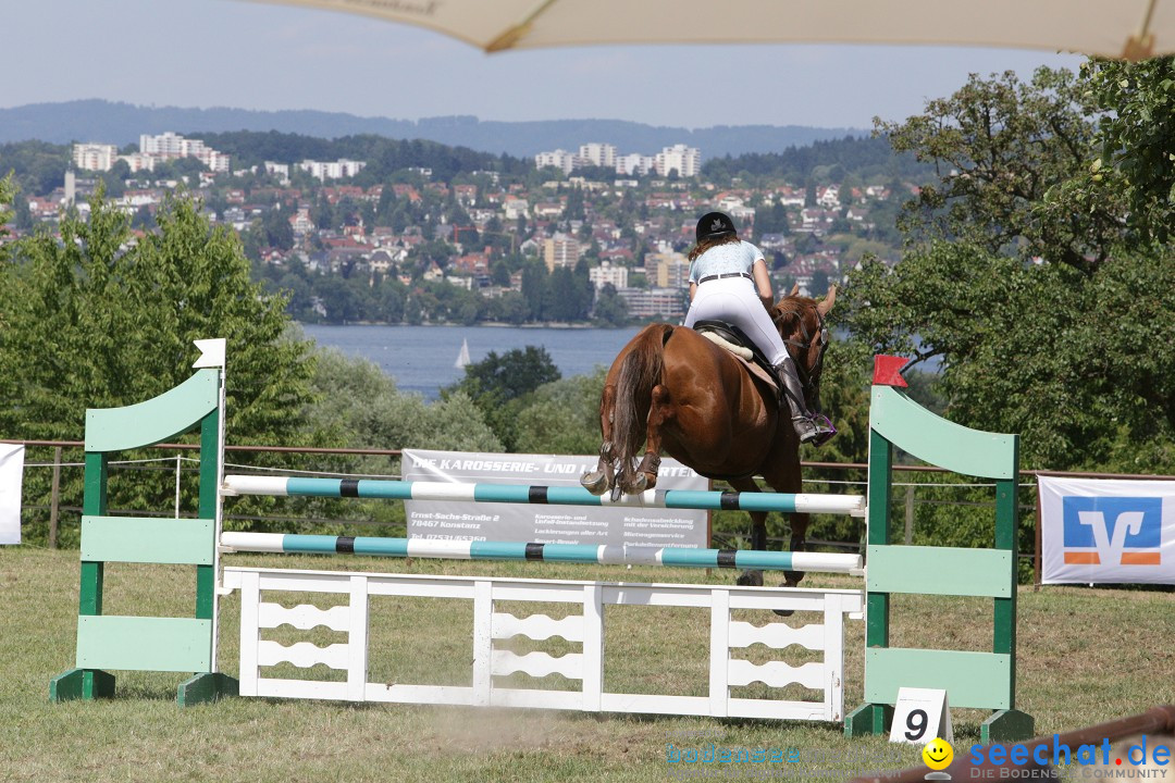 Reitturnier auf dem Ziegelhof in Dettingen-Wallhausen am Bodensee, 22.06.20