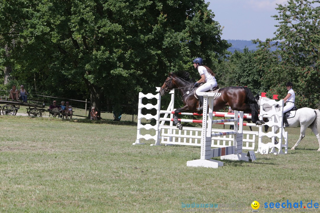 Reitturnier auf dem Ziegelhof in Dettingen-Wallhausen am Bodensee, 22.06.20