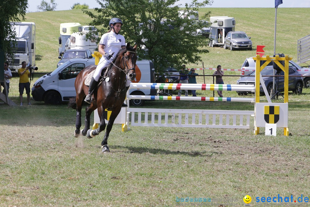 Reitturnier auf dem Ziegelhof in Dettingen-Wallhausen am Bodensee, 22.06.20