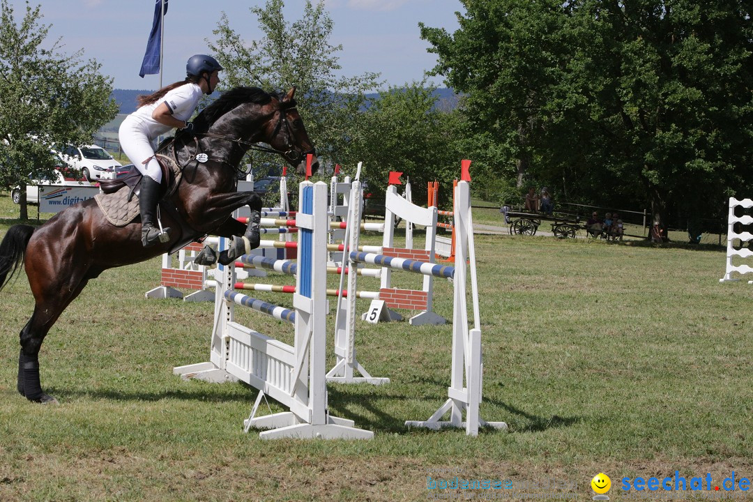 Reitturnier auf dem Ziegelhof in Dettingen-Wallhausen am Bodensee, 22.06.20