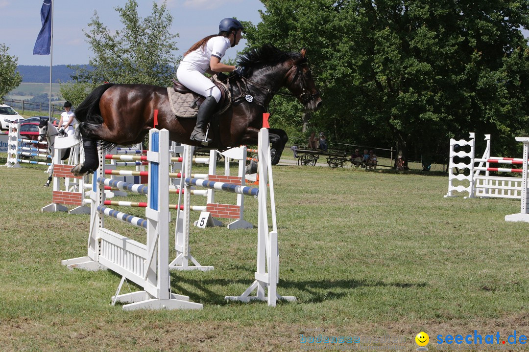 Reitturnier auf dem Ziegelhof in Dettingen-Wallhausen am Bodensee, 22.06.20