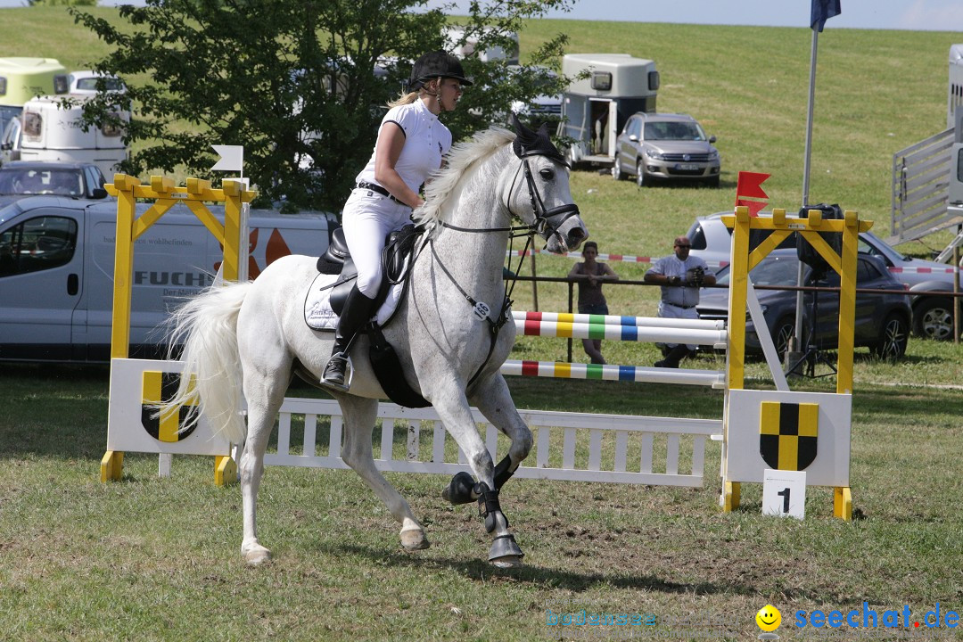 Reitturnier auf dem Ziegelhof in Dettingen-Wallhausen am Bodensee, 22.06.20