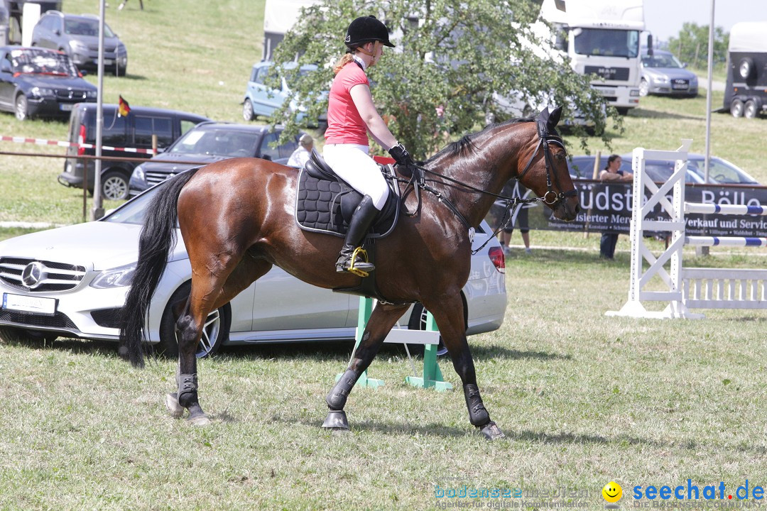 Reitturnier auf dem Ziegelhof in Dettingen-Wallhausen am Bodensee, 22.06.20