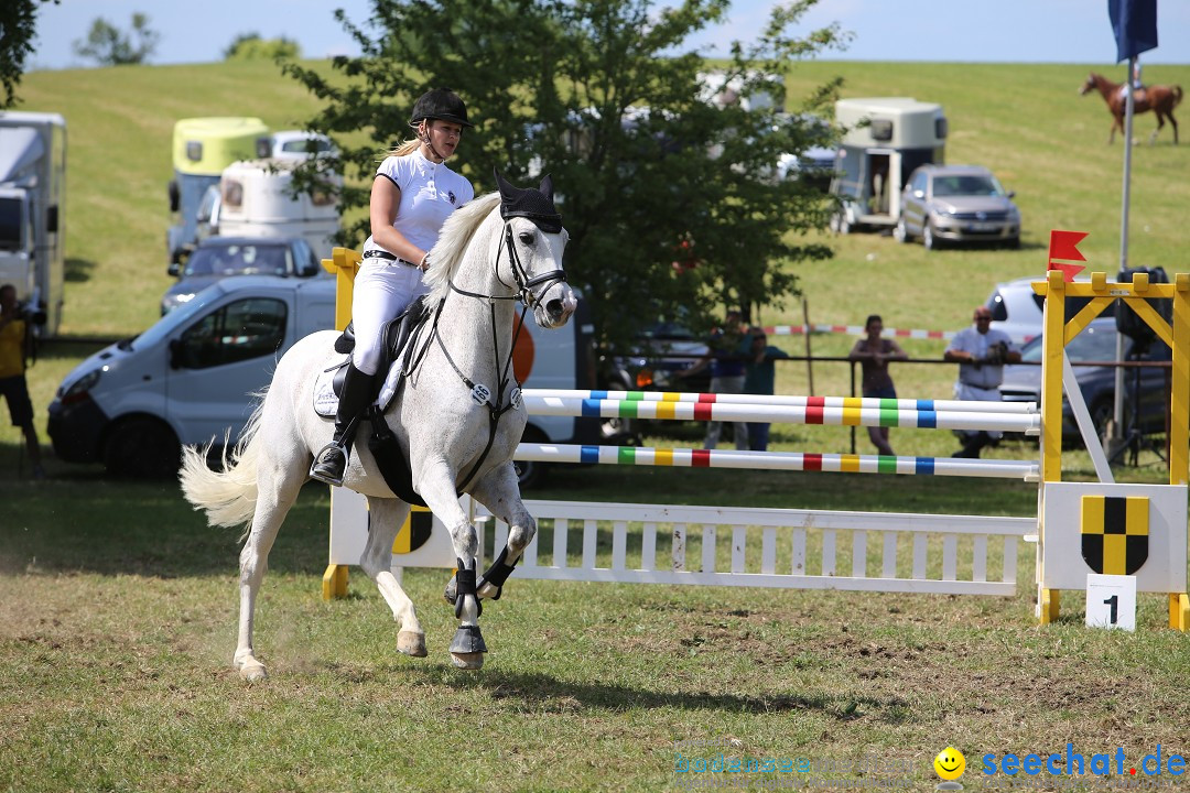 Reitturnier auf dem Ziegelhof in Dettingen-Wallhausen am Bodensee, 22.06.20