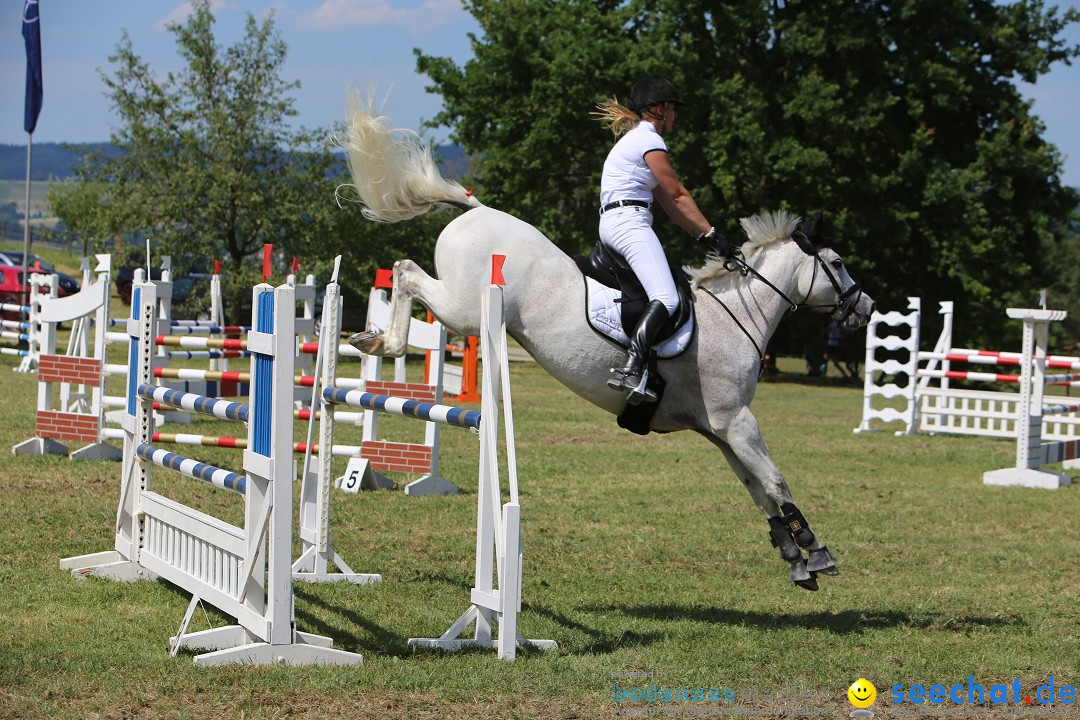 Reitturnier auf dem Ziegelhof in Dettingen-Wallhausen am Bodensee, 22.06.20