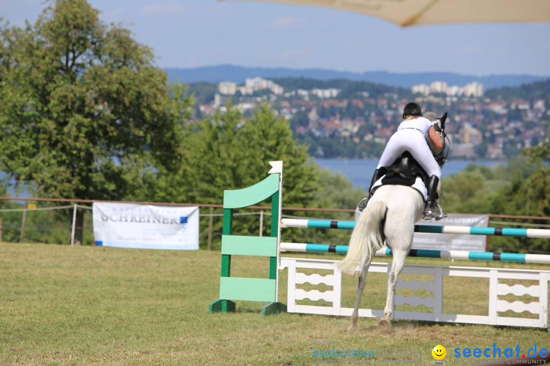 Reitturnier auf dem Ziegelhof in Dettingen-Wallhausen am Bodensee, 22.06.20