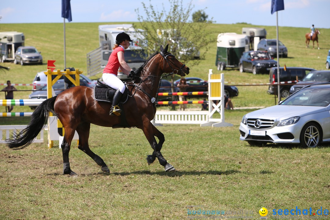 Reitturnier auf dem Ziegelhof in Dettingen-Wallhausen am Bodensee, 22.06.20