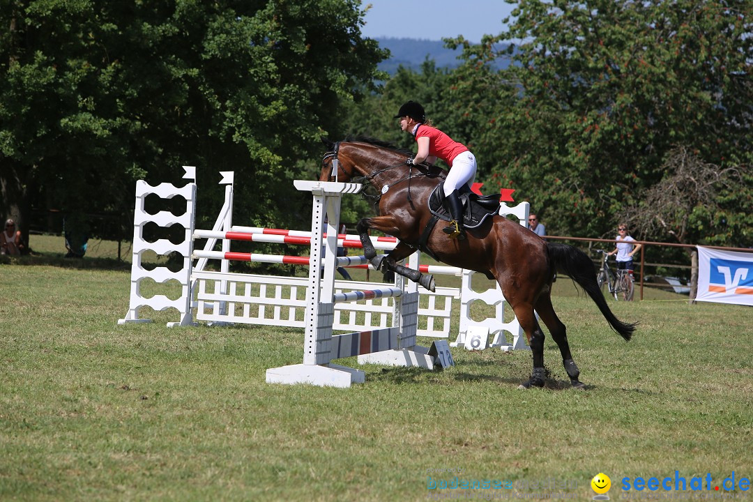 Reitturnier auf dem Ziegelhof in Dettingen-Wallhausen am Bodensee, 22.06.20