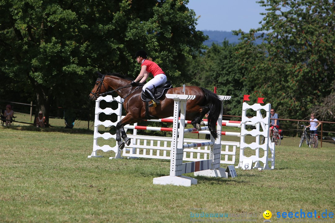 Reitturnier auf dem Ziegelhof in Dettingen-Wallhausen am Bodensee, 22.06.20