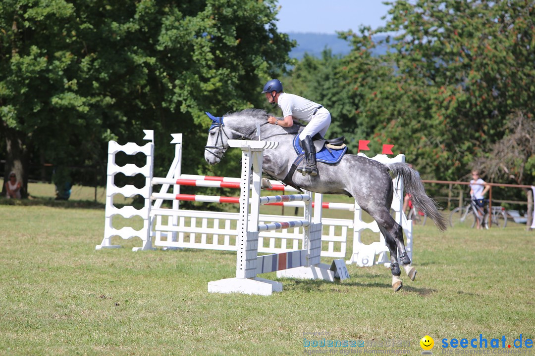 Reitturnier auf dem Ziegelhof in Dettingen-Wallhausen am Bodensee, 22.06.20