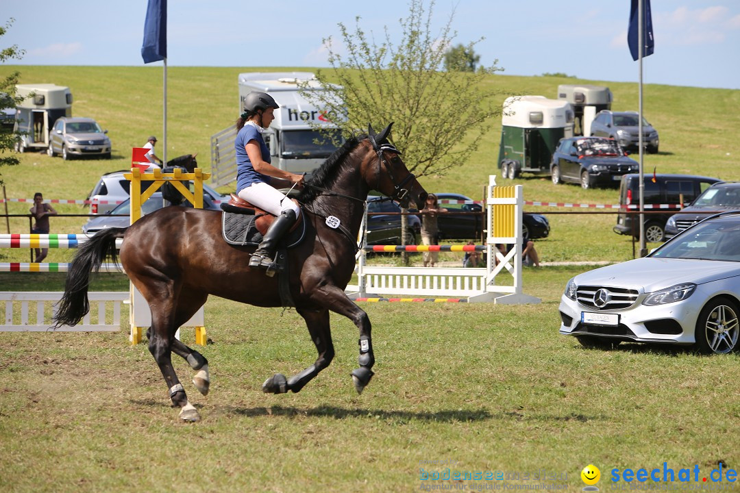 Reitturnier auf dem Ziegelhof in Dettingen-Wallhausen am Bodensee, 22.06.20