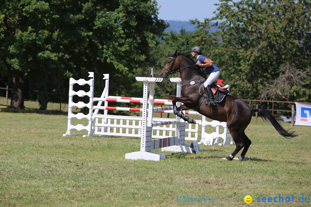 Reitturnier auf dem Ziegelhof in Dettingen-Wallhausen am Bodensee, 22.06.20