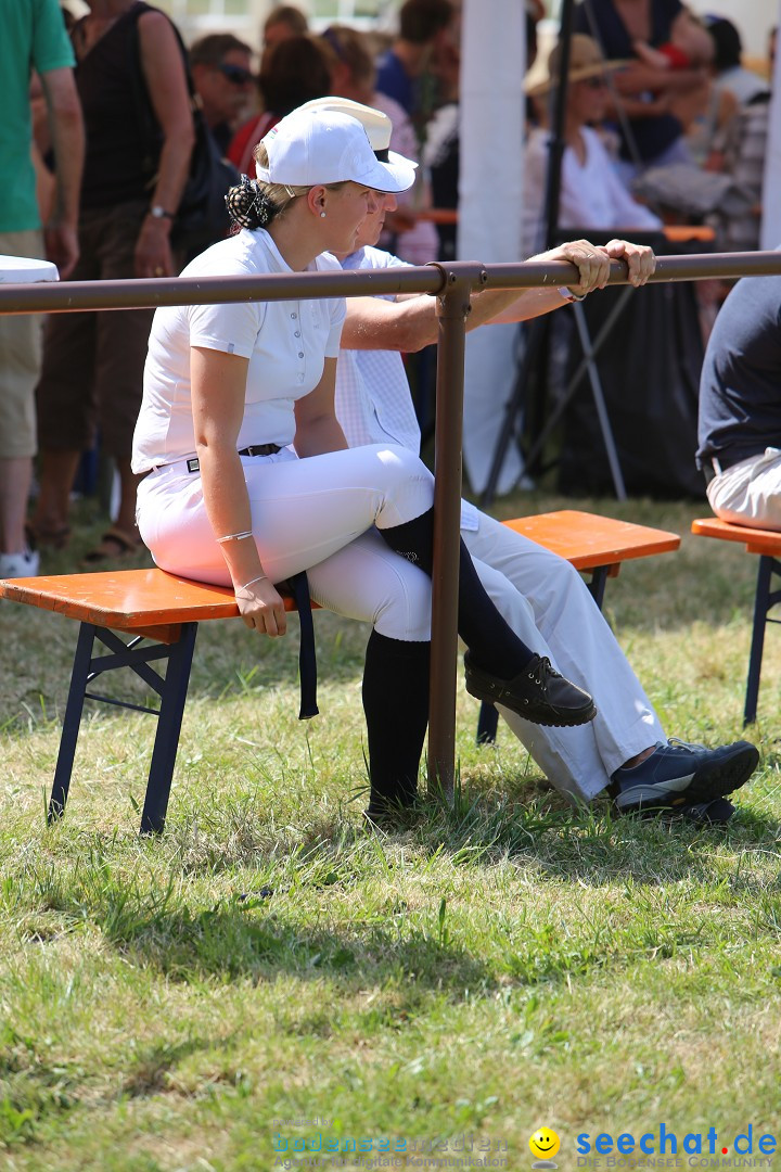 Reitturnier auf dem Ziegelhof in Dettingen-Wallhausen am Bodensee, 22.06.20