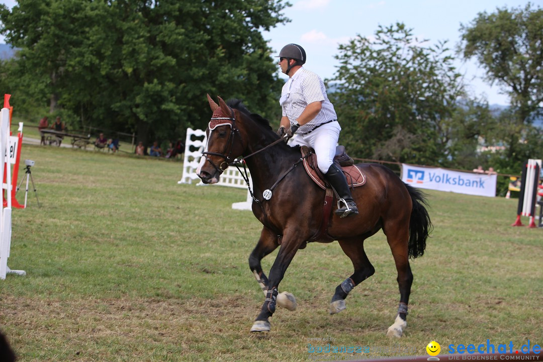 Reitturnier auf dem Ziegelhof in Dettingen-Wallhausen am Bodensee, 22.06.20