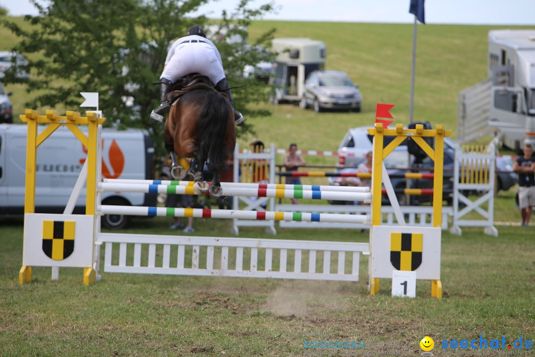 Reitturnier auf dem Ziegelhof in Dettingen-Wallhausen am Bodensee, 22.06.20