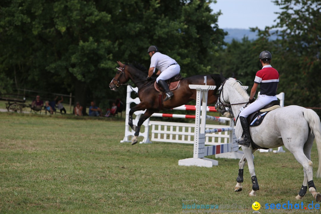 Reitturnier auf dem Ziegelhof in Dettingen-Wallhausen am Bodensee, 22.06.20