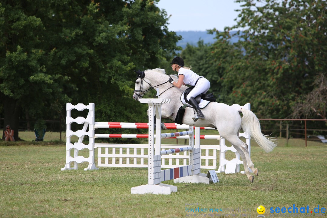 Reitturnier auf dem Ziegelhof in Dettingen-Wallhausen am Bodensee, 22.06.20