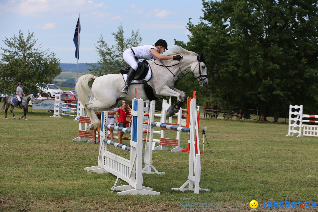 Reitturnier auf dem Ziegelhof in Dettingen-Wallhausen am Bodensee, 22.06.20