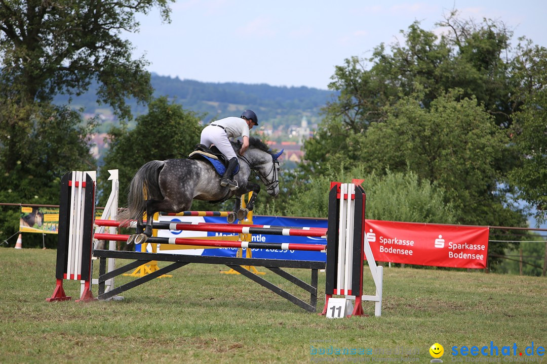 Reitturnier auf dem Ziegelhof in Dettingen-Wallhausen am Bodensee, 22.06.20