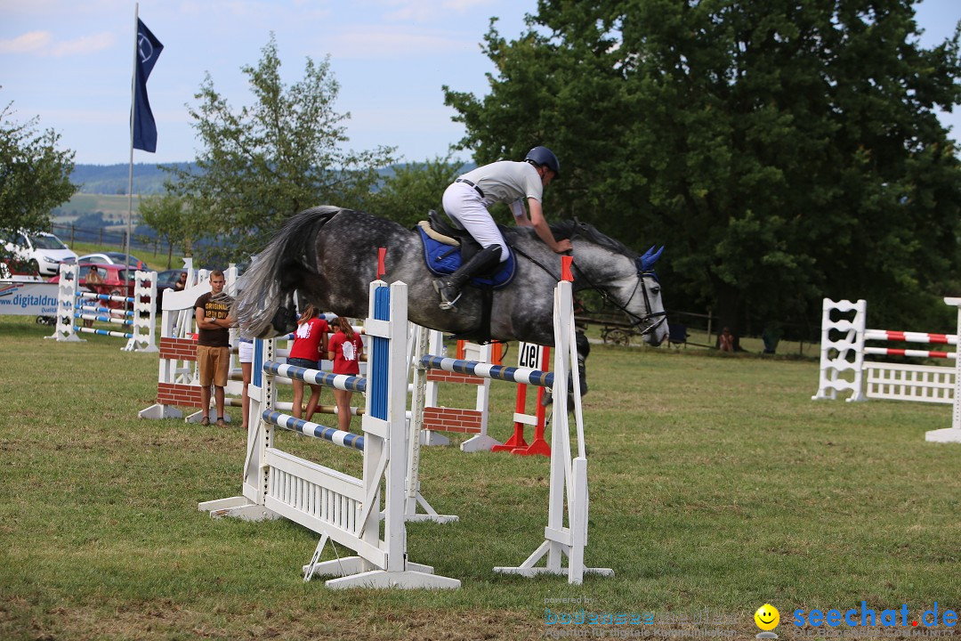 Reitturnier auf dem Ziegelhof in Dettingen-Wallhausen am Bodensee, 22.06.20