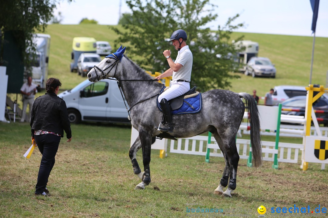 Reitturnier auf dem Ziegelhof in Dettingen-Wallhausen am Bodensee, 22.06.20