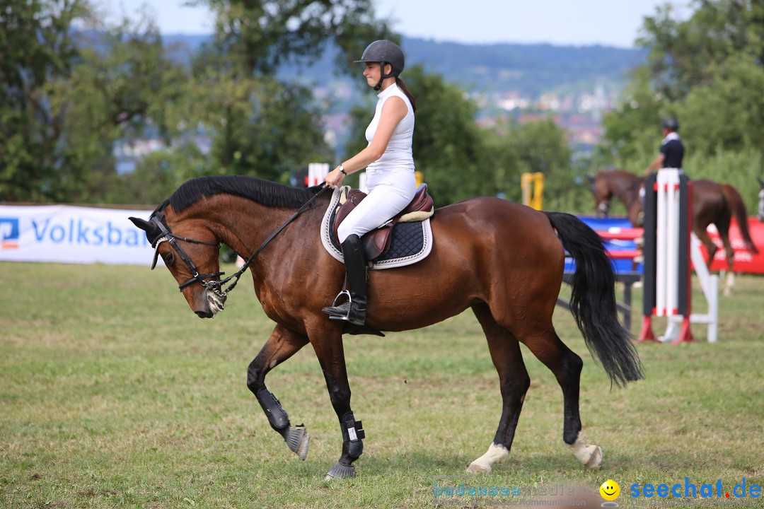 Reitturnier auf dem Ziegelhof in Dettingen-Wallhausen am Bodensee, 22.06.20