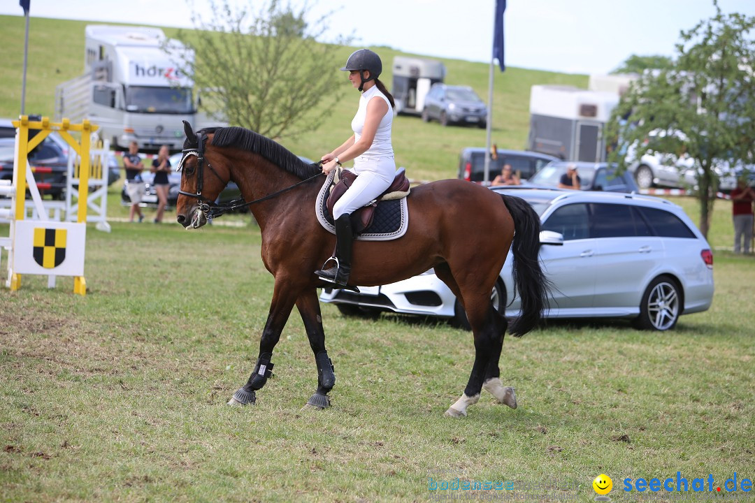 Reitturnier auf dem Ziegelhof in Dettingen-Wallhausen am Bodensee, 22.06.20