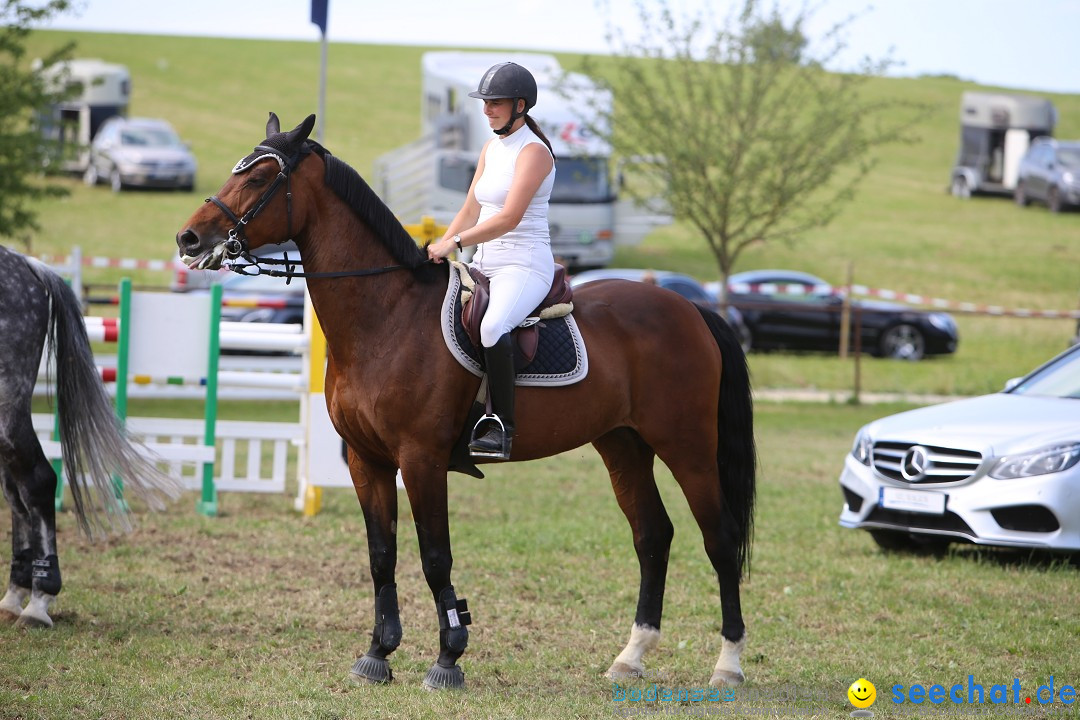 Reitturnier auf dem Ziegelhof in Dettingen-Wallhausen am Bodensee, 22.06.20