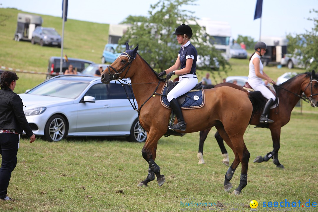 Reitturnier auf dem Ziegelhof in Dettingen-Wallhausen am Bodensee, 22.06.20