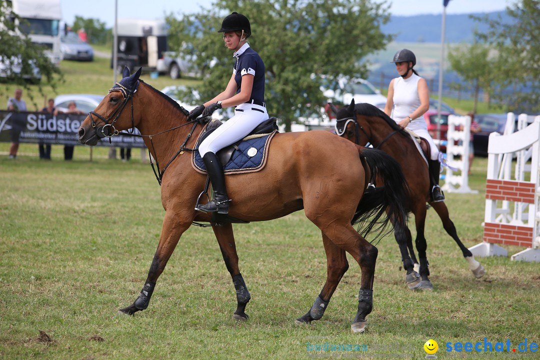 Reitturnier auf dem Ziegelhof in Dettingen-Wallhausen am Bodensee, 22.06.20