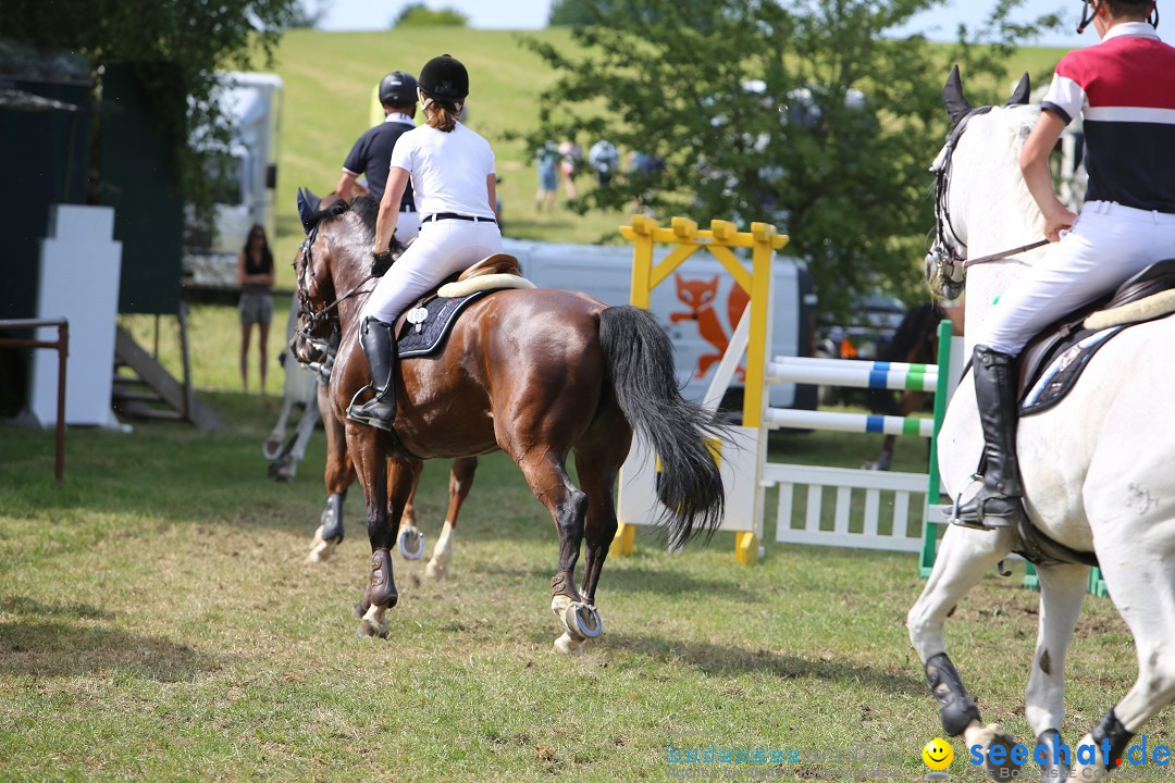 Reitturnier auf dem Ziegelhof in Dettingen-Wallhausen am Bodensee, 22.06.20