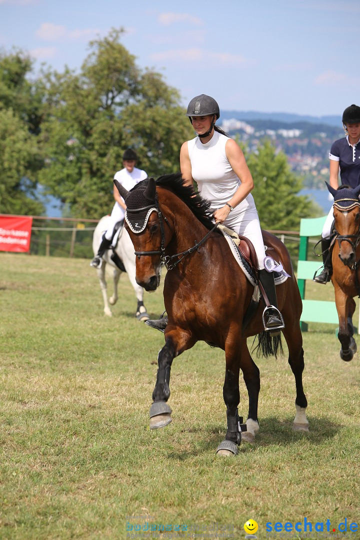 Reitturnier auf dem Ziegelhof in Dettingen-Wallhausen am Bodensee, 22.06.20