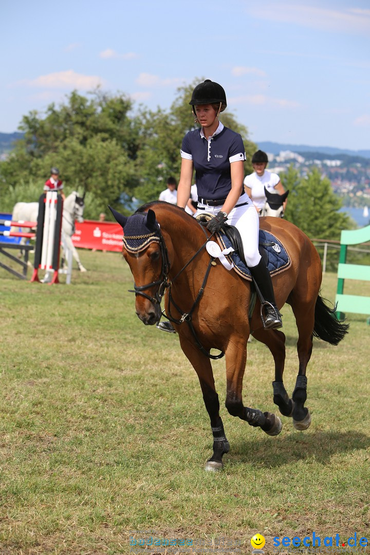 Reitturnier auf dem Ziegelhof in Dettingen-Wallhausen am Bodensee, 22.06.20