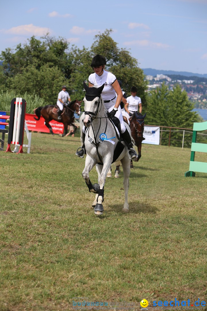 Reitturnier auf dem Ziegelhof in Dettingen-Wallhausen am Bodensee, 22.06.20