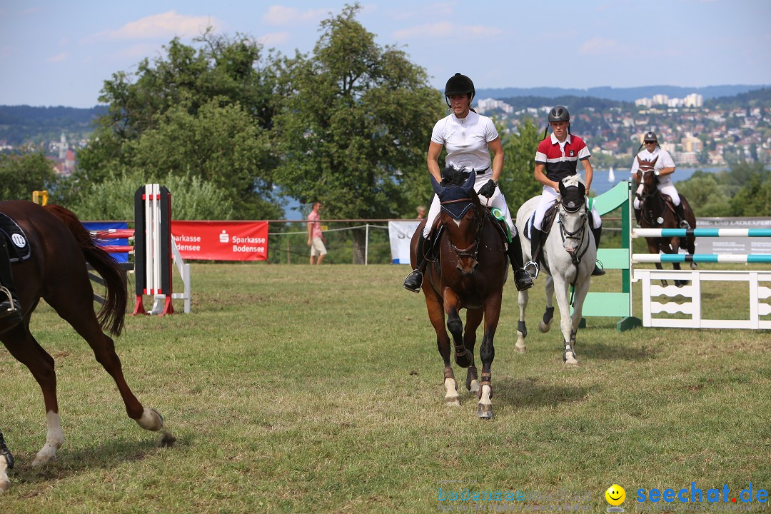 Reitturnier auf dem Ziegelhof in Dettingen-Wallhausen am Bodensee, 22.06.20