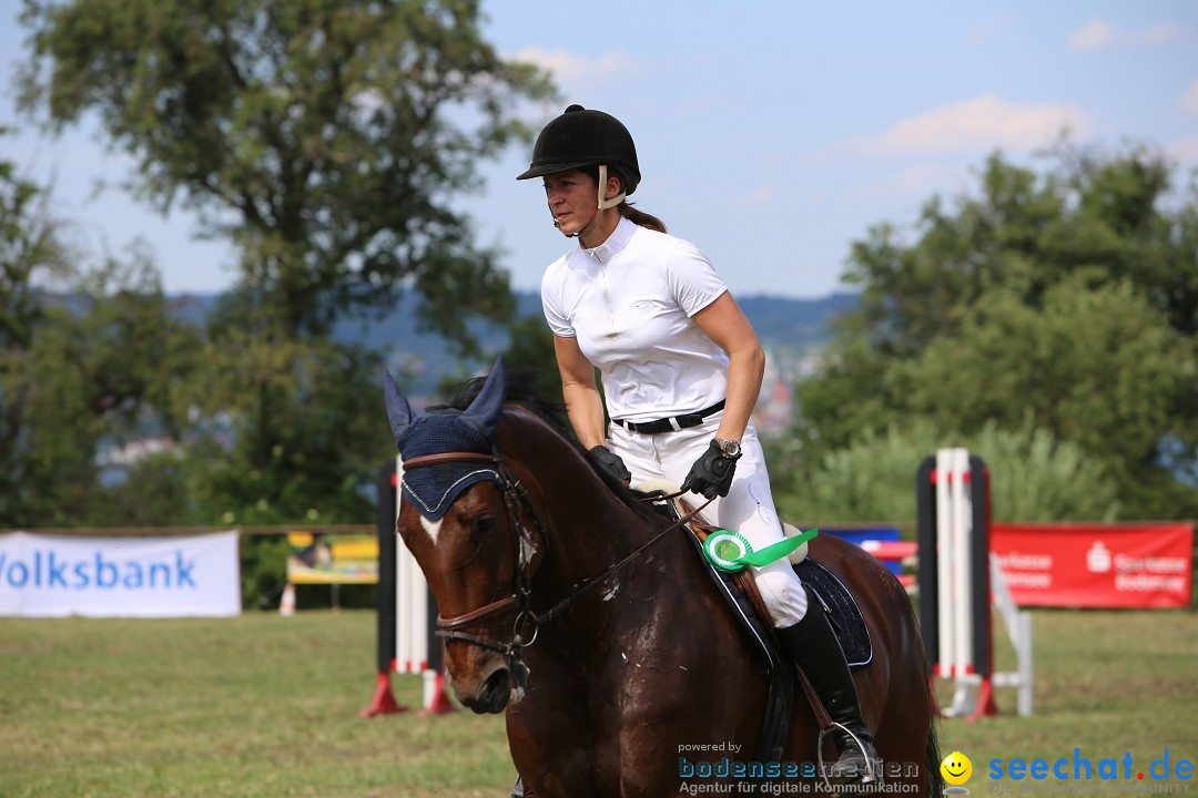 Reitturnier auf dem Ziegelhof in Dettingen-Wallhausen am Bodensee, 22.06.20