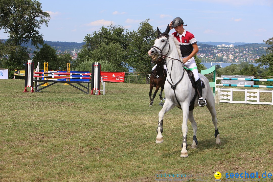 Reitturnier auf dem Ziegelhof in Dettingen-Wallhausen am Bodensee, 22.06.20