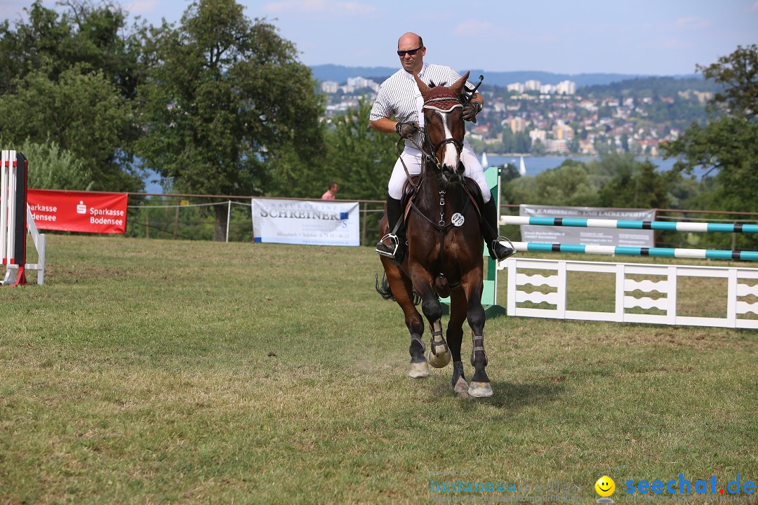 Reitturnier auf dem Ziegelhof in Dettingen-Wallhausen am Bodensee, 22.06.20