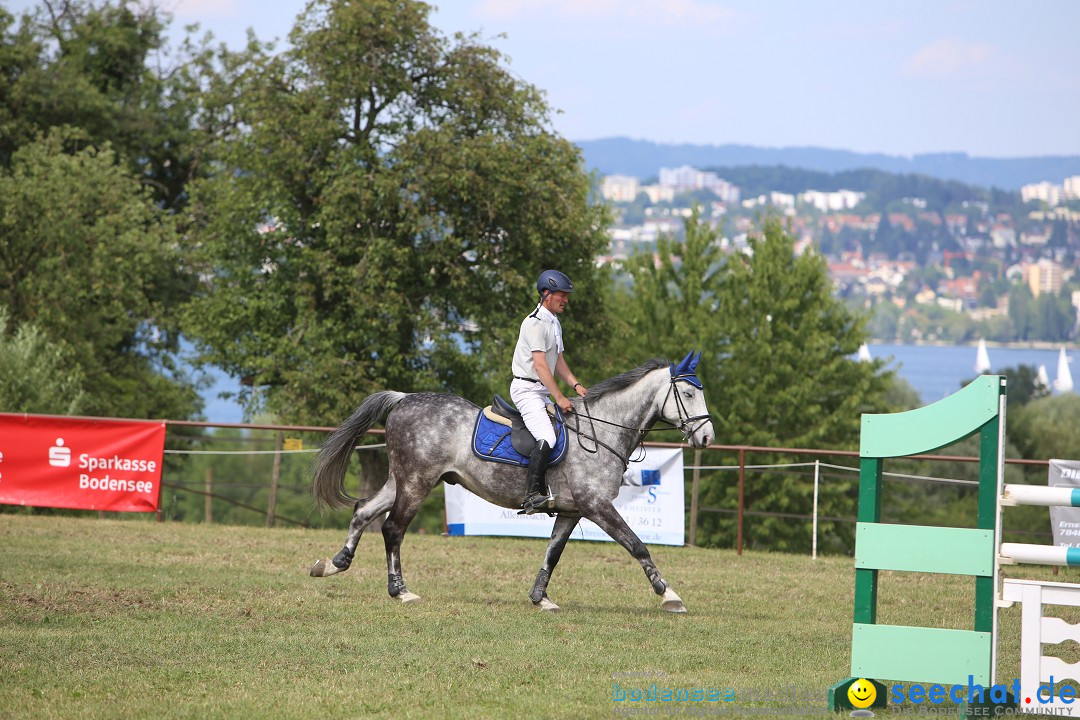 Reitturnier auf dem Ziegelhof in Dettingen-Wallhausen am Bodensee, 22.06.20