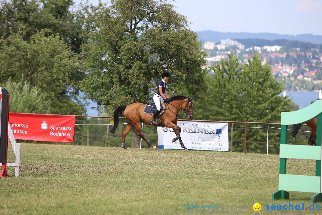 Reitturnier auf dem Ziegelhof in Dettingen-Wallhausen am Bodensee, 22.06.20