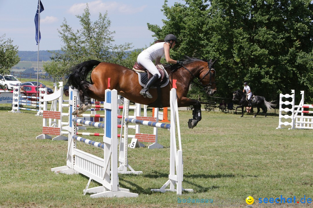 Reitturnier auf dem Ziegelhof in Dettingen-Wallhausen am Bodensee, 22.06.20