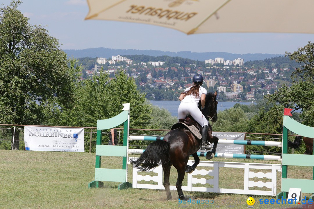 Reitturnier auf dem Ziegelhof in Dettingen-Wallhausen am Bodensee, 22.06.20