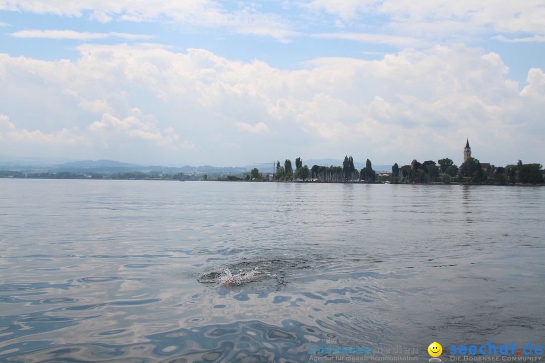 Bodenseequerung: Nathalie Pohl: Friedrichshafen - Romanshorn, 25.06.2014